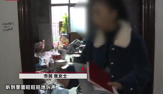 女子在重庆买了套新房,10年后猛然想起到场一看浑身发抖