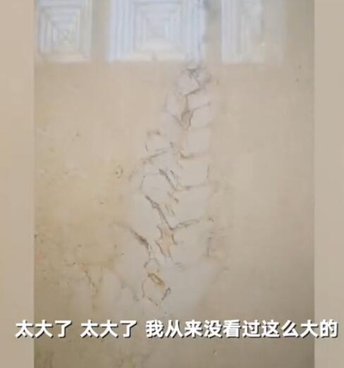 江苏淮安市政府地砖上出现神秘花纹,专家上前一看惊喜万分