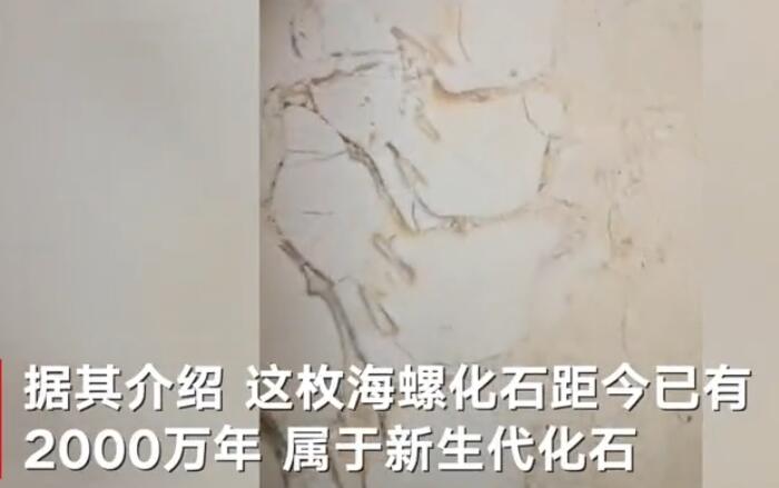 江苏淮安市政府地砖上出现神秘花纹,专家上前一看惊喜万分