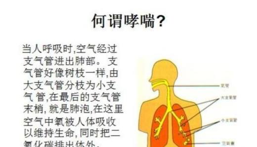 哮喘病是传染病吗？为什么？