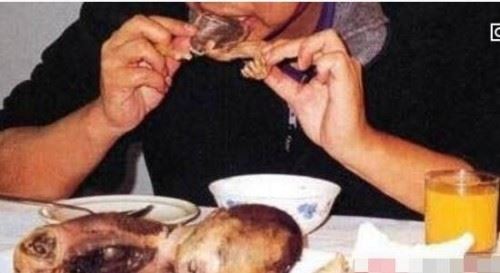 中国十大禁菜之龙须凤爪 砍下百条活鲤鱼的须残忍无比