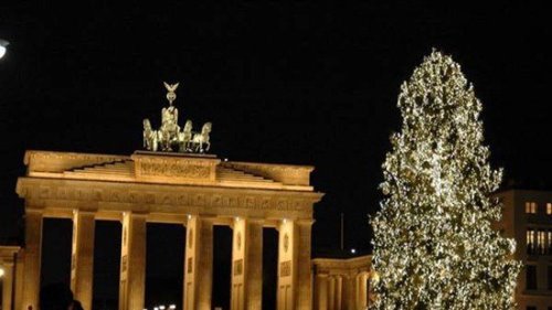 世界十大最有特色的圣诞树 最大的圣诞树在意大利产生