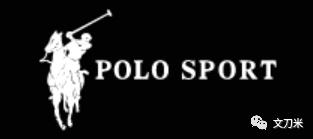 Polo是什么意思（买polo的都是什么家庭）
