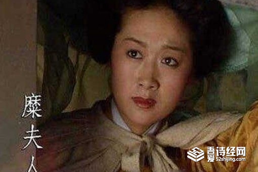 糜夫人为什么跳井 糜夫人是刘禅的母亲吗