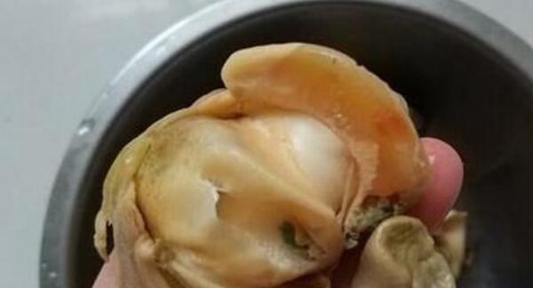 海螺黄到底是什么？？海螺黄能吃吗海螺内脏不要吃