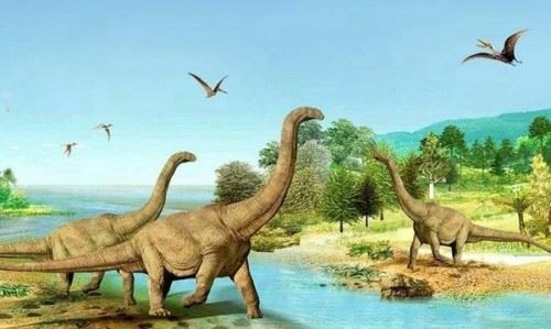 刚果发现活恐龙？恐龙其实还没有灭绝吗