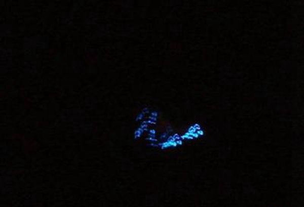 8·20上海ufo事件 南航飞行员万米高空发现不明飞行物