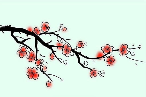 梅花在中国的栽培历史有多少年