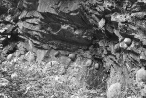 贵州千年石崖产蛋之谜 产蛋崖为什么？会产石蛋地质原因