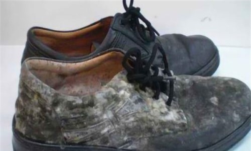 皮鞋发霉了怎么清洗 保养皮鞋的方法？有哪些