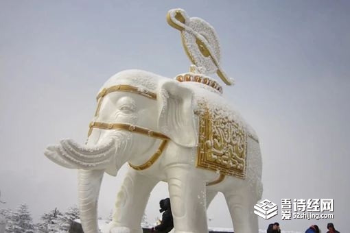 狮驼岭白象是谁的坐骑 黄牙老象是什么来历