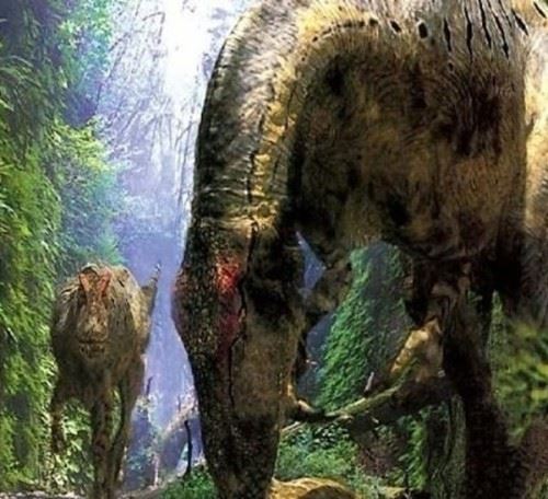 印度洋活恐龙之谜 恐龙并没有全部灭绝恐龙的后裔科莫多巨蜥