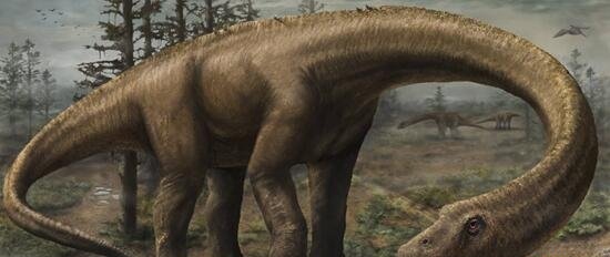 史上最大的恐龙 阿根廷龙长40米重达100吨一天长80斤