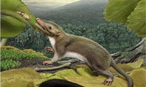 恐龙的祖先是什么？动物？盛行于三叠纪早期槽齿类爬行动物