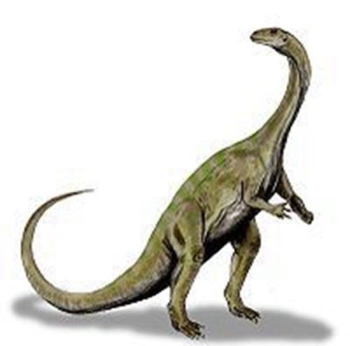 十大最强食草恐龙排名 食草恐龙三角龙可以吊打霸王龙