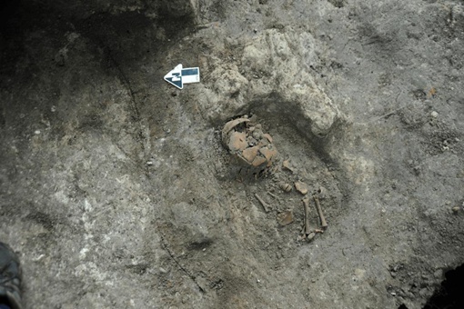 招果洞遗址推测出4万年前古人食谱有25种肉