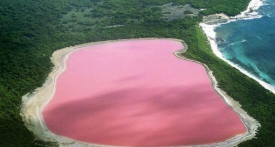 希勒湖为什么？是粉色的 盘点世界各地的粉红湖泊