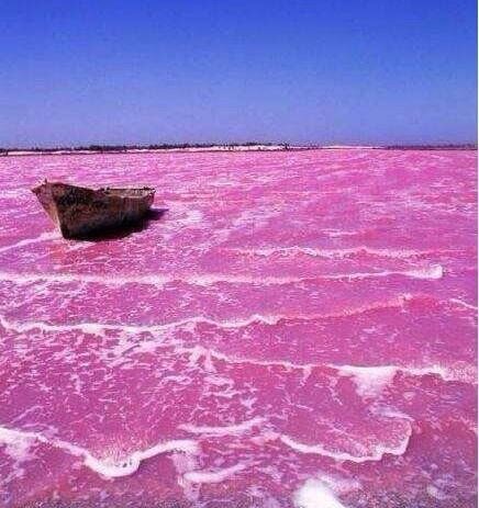 希勒湖为什么？是粉色的 盘点世界各地的粉红湖泊