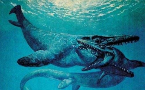 史上最恐怖的巨兽沧龙 曾称霸整个地球蜥蜴进化而来