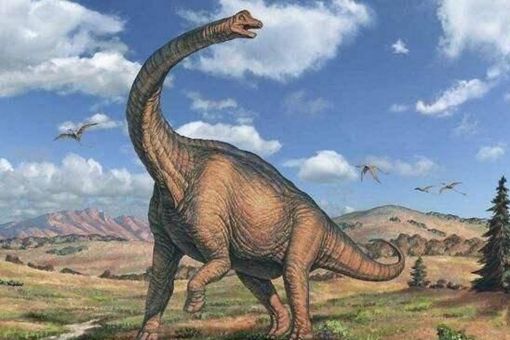 恐龙为何进化成鸟类 是进化还是退化