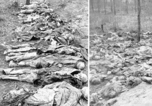 二战卡廷事件之谜 2.6万波兰军人在森林被集体屠杀真相
