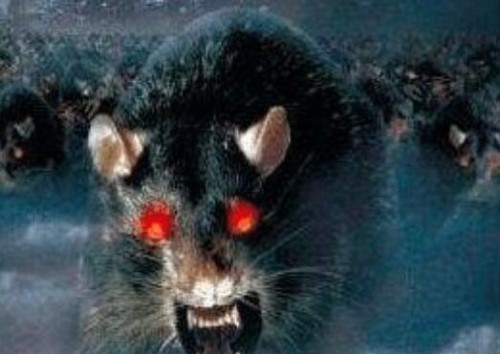 鬼城切尔诺贝利巨鼠事件 核辐射造就变异食人巨鼠谣言
