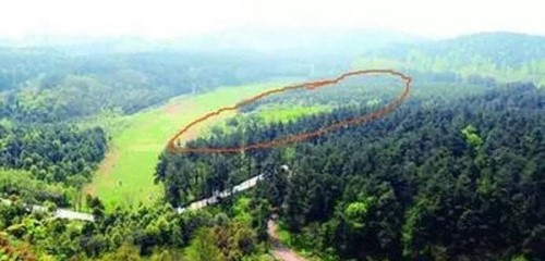 1994年贵阳空中怪车事件真相 外星人造访都溪林场摧毁400亩松树