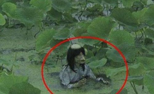 水猴子拉人下水视频 真实的水猴子图片看着好恐怖(其实是谣传)