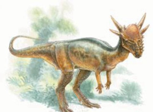 十大最聪明的恐龙 伤齿龙聪明到可以进化成人