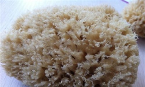 海藻棉是什么？布料？以海藻炭为成分的人造纤维高耐热性