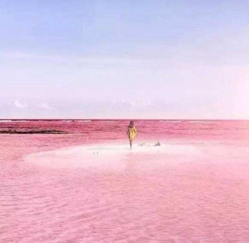 希勒湖为什么？是粉色的 因藻类变异结论已被推翻