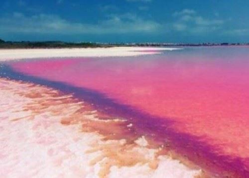 希勒湖为什么？是粉色的 因藻类变异结论已被推翻