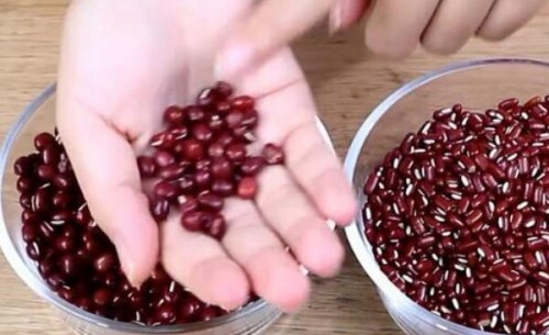 赤小豆和红豆的区别 赤小豆扁扁可入药红豆圆圆只能吃