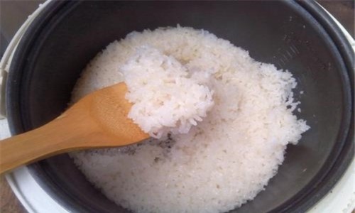 如何蒸米饭不糊底 电饭锅蒸米饭糊底的原因有哪些