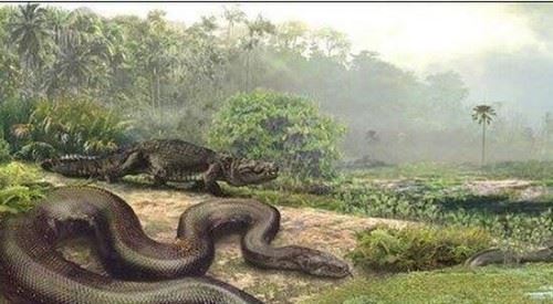 远古时期泰坦巨蟒之谜 6000万年前灭绝/世界上最大的蛇
