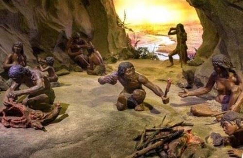 野女人扎娜之谜 未进化的猿与人类生下4个孩子非洲猿