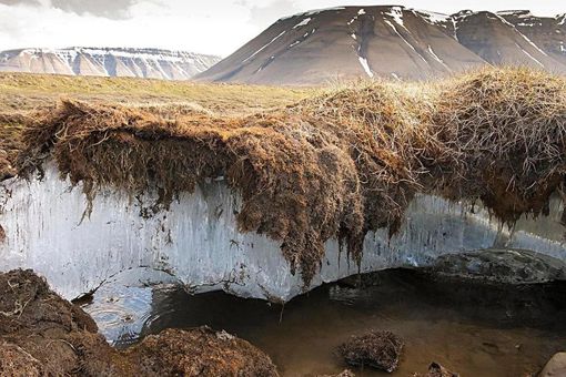冻土融化的影响是什么 冻土融化后的结果