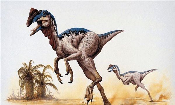 美国唯一的克隆恐龙 恐龙DNA能够保存100万年