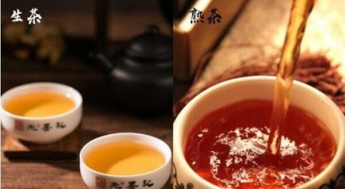 熟茶和生茶哪个更刮油 生茶刮油效果更好减肥效果更好