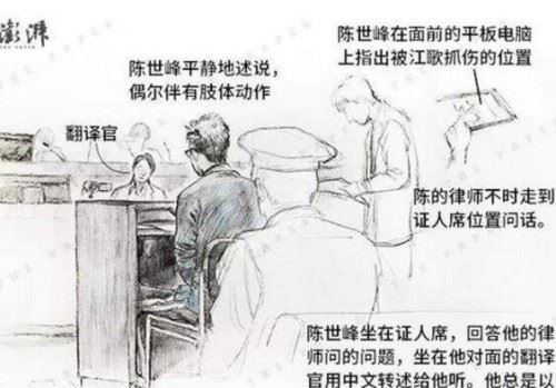 江歌伤口照片首度公开 陈世峰陈述案发经过疑点重重