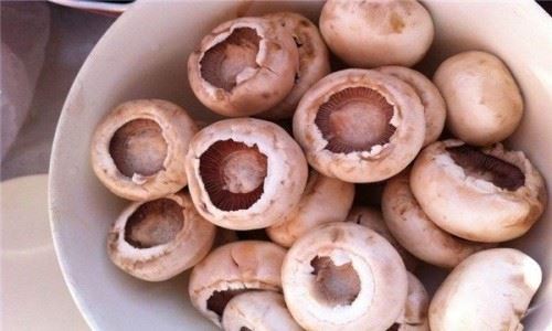 蘑菇和豆角能一起吃吗？蘑菇和豆角一起吃的好处