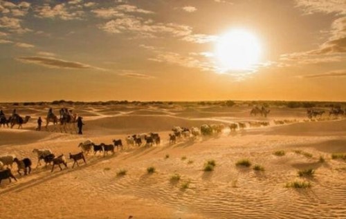 撒哈拉沙漠黄沙形成之谜 破坏生态绿洲一夜间成浩瀚沙漠