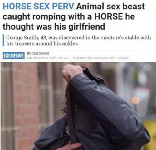 恋兽癖是怎么回事 将动物当做自己的伴侣并发生性行为