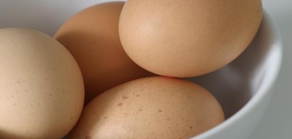增强记忆力的10种食物排名 鸡蛋第八 第一出乎意料