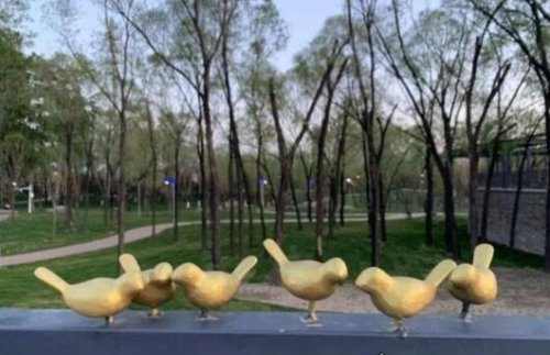 北京世园会小鸟被掰断 百余只小鸟仅剩17只(已追回30只)