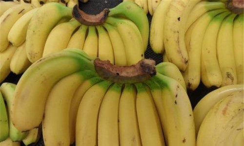 香蕉豆浆能一起吃吗？香蕉和豆浆一起吃的功效有哪些