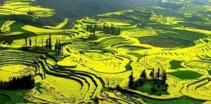中国最大的自然花园获吉尼斯世界纪录